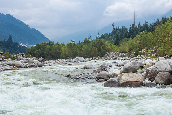 honeymoon_in_kullu1