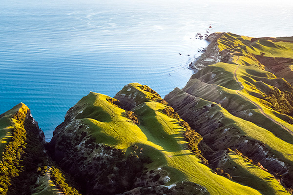 sightseeing_in_newzealand2