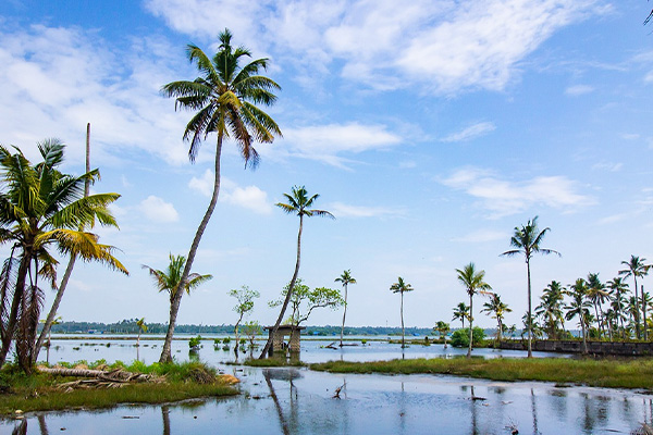 spacation_in_kerala1